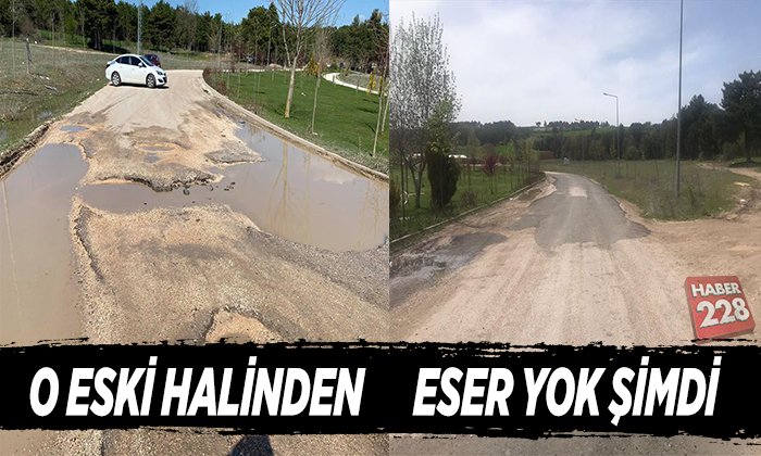 Gölpark Yolu