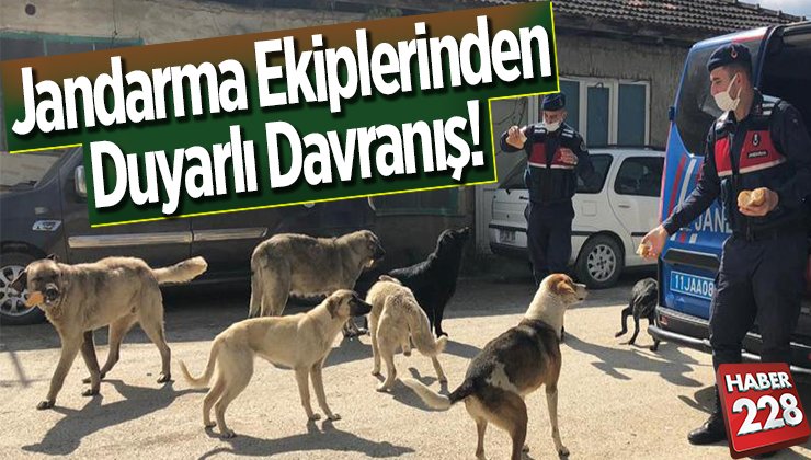 Jandarma Ekiplerinden Duyarlı Davranış