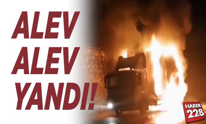alev alev yandı