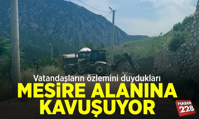 mesire_alanı
