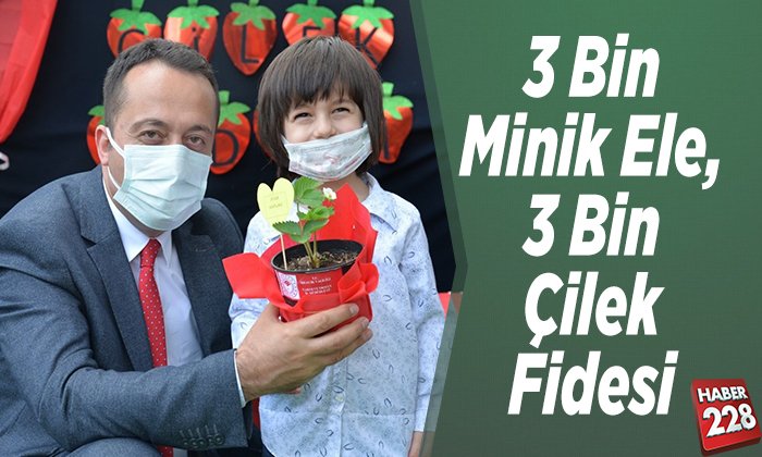 3 bin minik ele 3 bin çilek fidesi