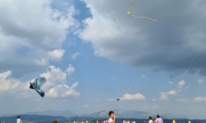 Bilecik'te uçurtma şenliği