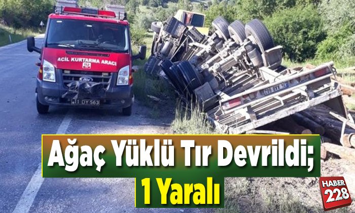 Ağaç Yüklü Tır Devrildi 1 Yaralı