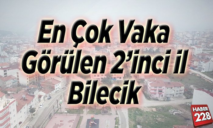 En çok vaka görülen 2 il Bilecik