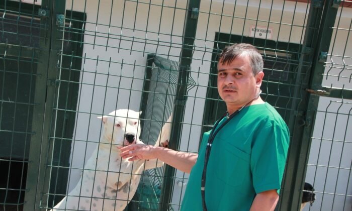 Bu köpekleri beslemenin cezası 11 bin TL