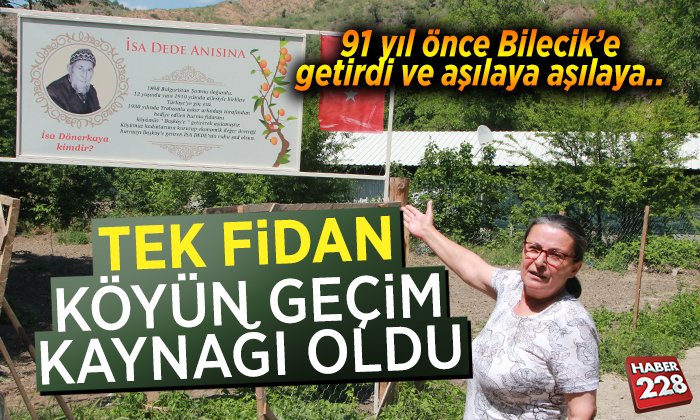 fidan