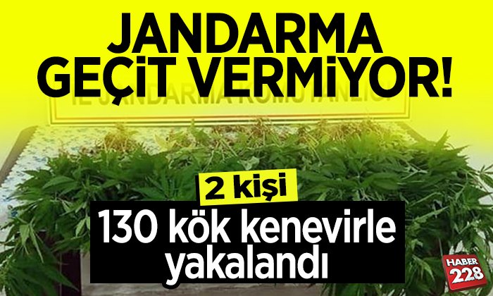jandarma