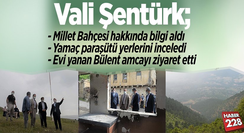 vali şentürk