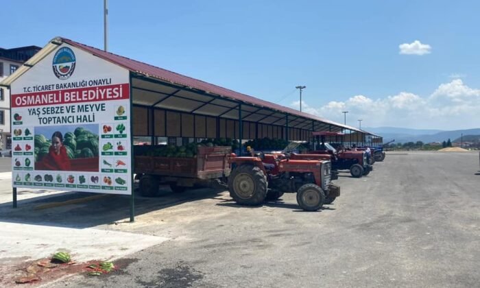 Osmaneli'nde karpuz hasadı