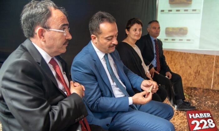Anadolu'nun İlk Müzik Aleti Bilecik'te