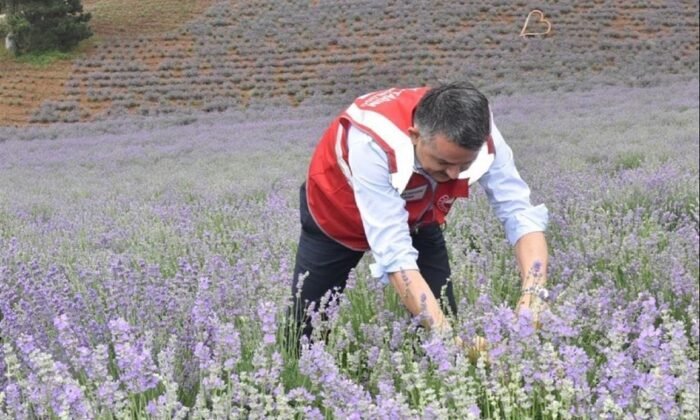 Bakanlardan Şermin Kahramana övgü dolu sözler! (7)