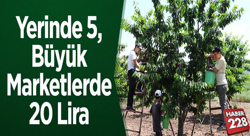 Yerinde 5 büyük marketlerde 20 lira