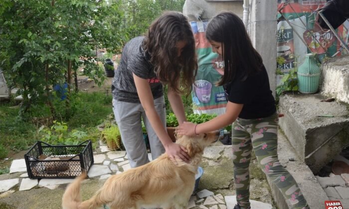 Sağlığına kavuştu..