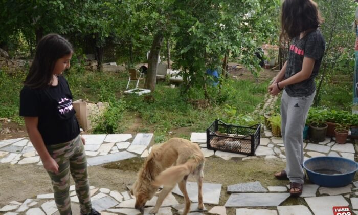 Sağlığına kavuştu..
