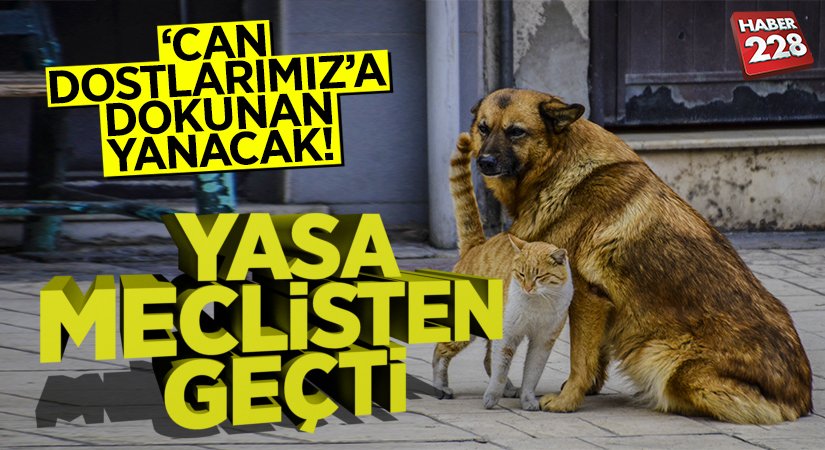 candostlarımız