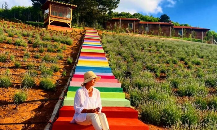 Lila Lavanta Bahçesi, evlenen çiftlerin mekanı oldu