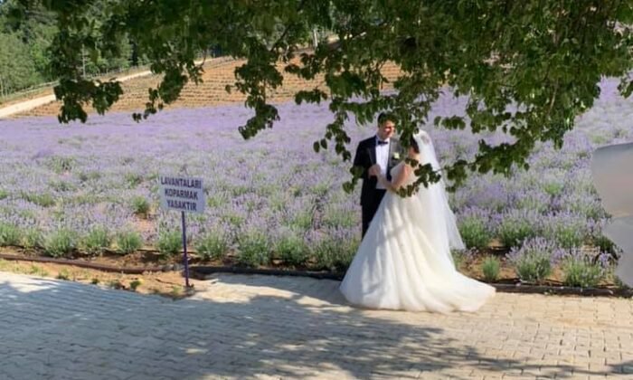 Lila Lavanta Bahçesi, evlenen çiftlerin mekanı oldu