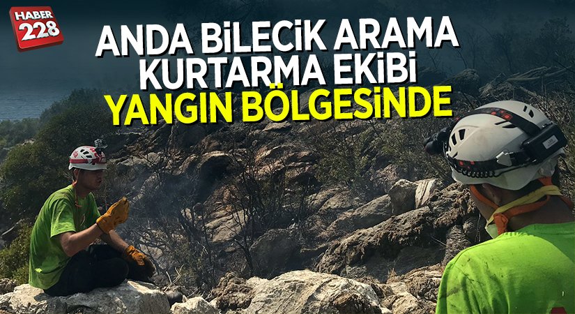 ANDA