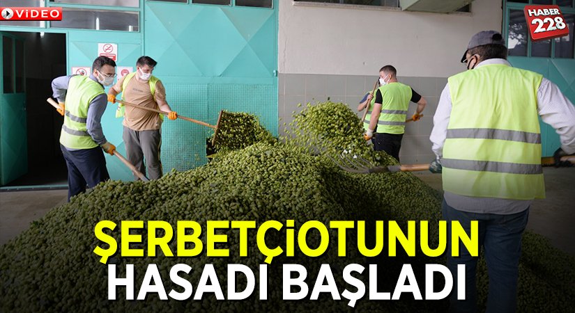 SERBETCI-OTU