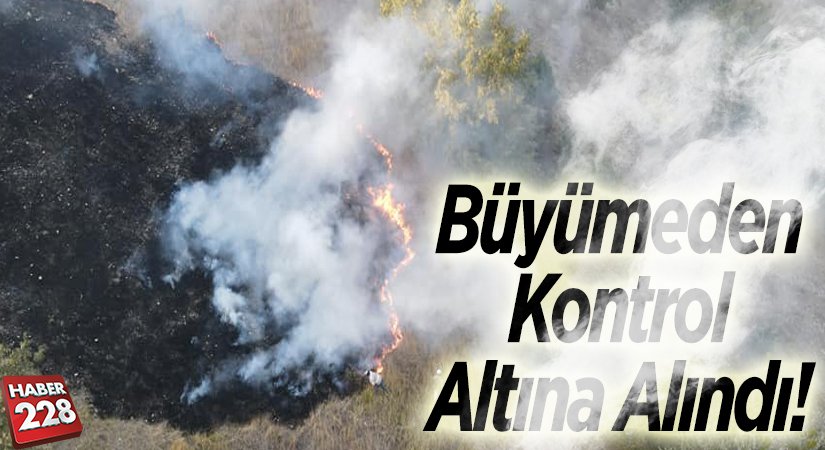 Büyümeden Kontrol Altına Alındı