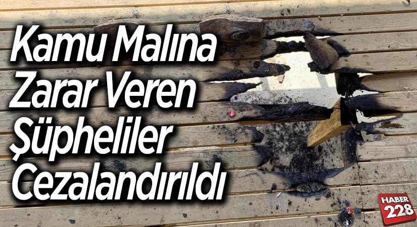 Kamu malına zarar veren şüpheliler cezalandırıldı
