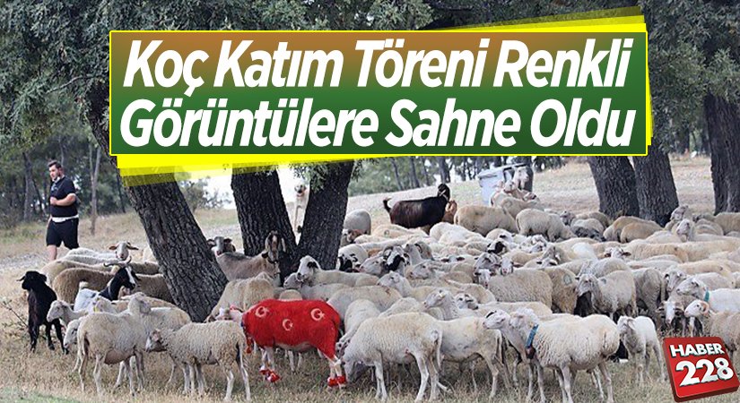 Koç katım töreni renkli görüntülere sahne oldu