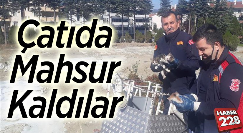 çatısında mahsur kalan