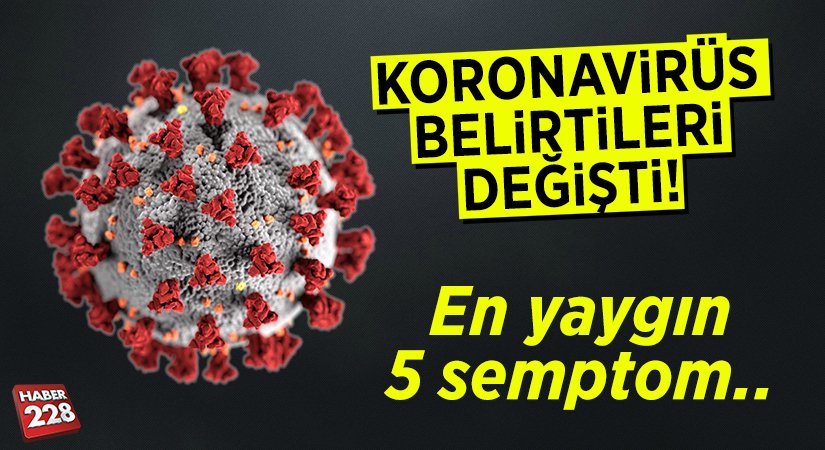 korona