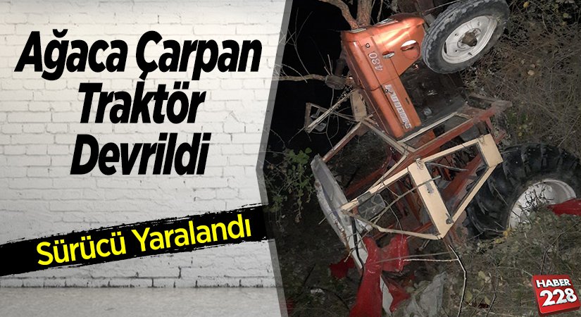 Ağaca Çarpan Traktör Devrildi, sürücüsü yaralandı