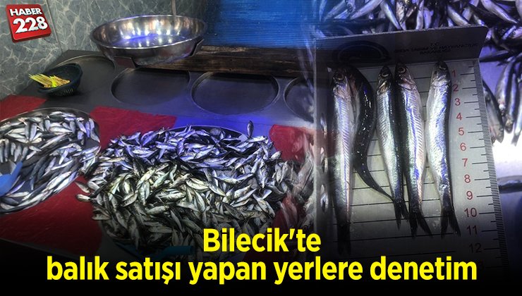 balık