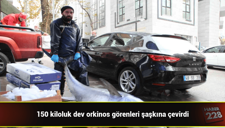 bilecik-haber_150-kiloluk-dev-orkinos-gorenleri-saskina-cevirdi.jpg