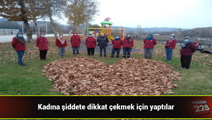 bilecik-haber_kadina-siddete-dikkat-cekmek-icin-yapraklardan-kalp-yaptilar.jpg