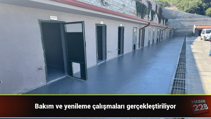 bilecik-haber_sokak-hayvanlari-tedavi-ve-rehabilitasyon-merkezinde-bakim-ve-yenileme-calismalari.jpg