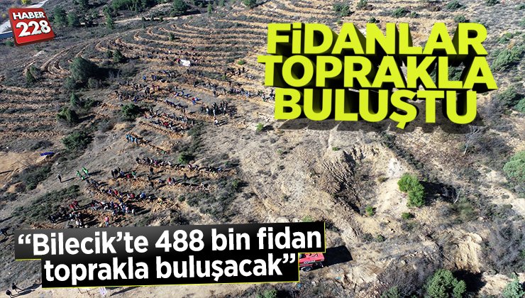 fidan