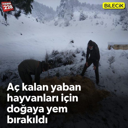 bilecik-haber_ac-kalan-yaban-hayvanlari-icin-dogaya-yem-birakildi.jpg
