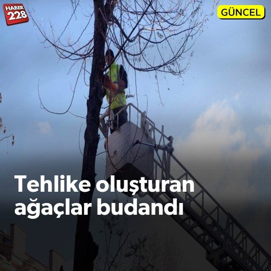 bilecik-haber_tehlike-olusturan-agaclar-budandi.jpg