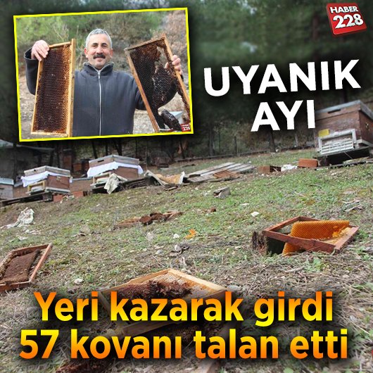 AYI