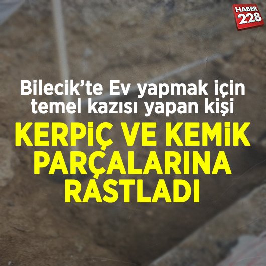 TEMEL