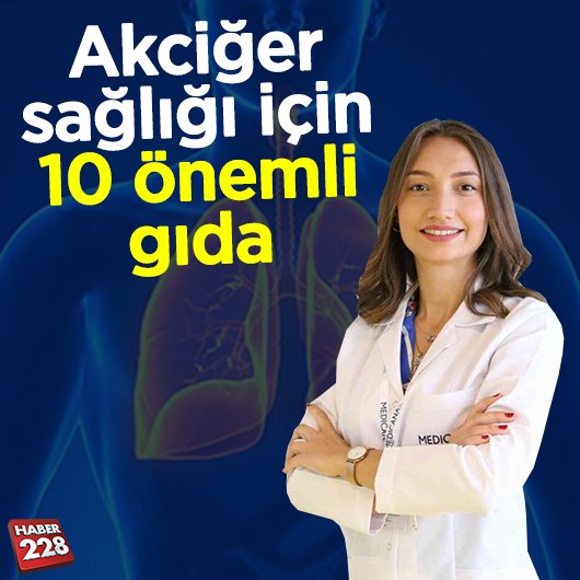 akcıger