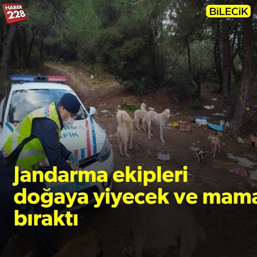 bilecik-haber_jandarma-ekipleri-sokak-hayvanlari-icin-dogaya-yiyecek-ve-mama-birakti.jpg