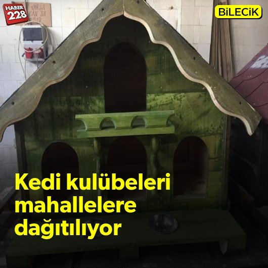 bilecik-haber_kedilerin-kisi-gecirecegi-kulubeleri-mahallelere-dagitiliyor.jpg