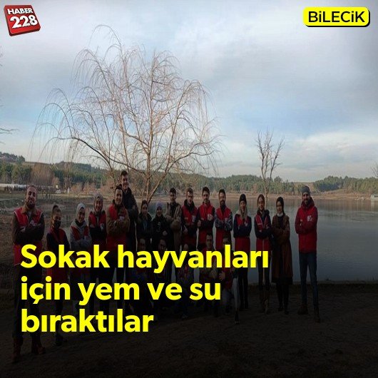 bilecik-haber_sokak-hayvanlari-icin-dogaya-yem-ve-su-biraktilar.jpg