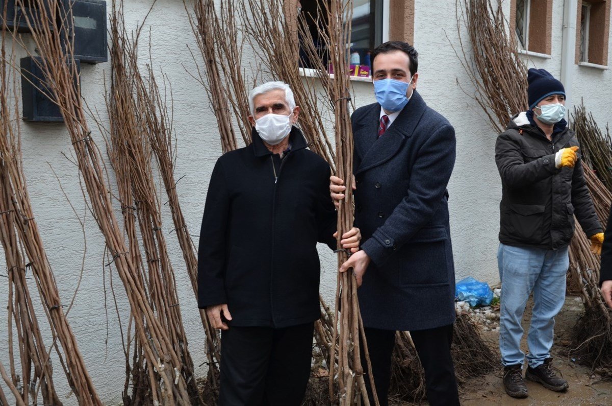 bilecik-haber_ciftcilere-3-bin-350-adet-cennet-hurmasi-ve-incir-fidani-ucretsiz-dagitildi.jpg