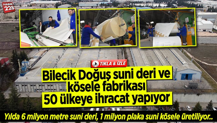 dogus