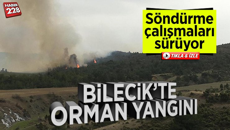 orman_yangini