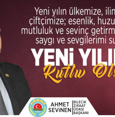 ahmet sevinen