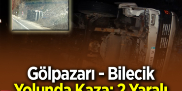 Gölpazarı - Bilecik Yolunda Kaza; 2 Yaralı