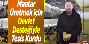 Kültür mantarı üretmek için devlet desteğiyle tesis kurdu