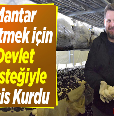 Kültür mantarı üretmek için devlet desteğiyle tesis kurdu