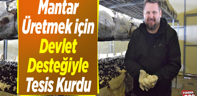 Kültür mantarı üretmek için devlet desteğiyle tesis kurdu